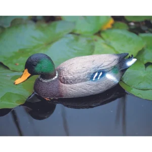 Ubbink Vadkacsa hím – 40 cm